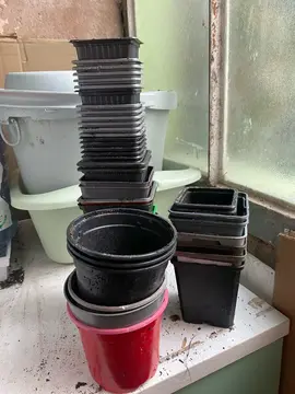 pots pour plantes ou repiquage