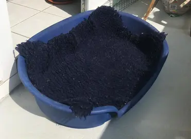 Panier Chien + tapis