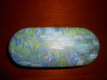 Etui à lunettes/pillulier