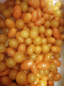 1 sac de tomates cerises