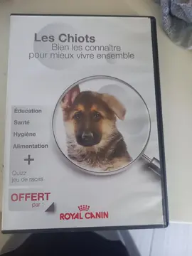 dvd pour adulte et ados puis enfants de chiot