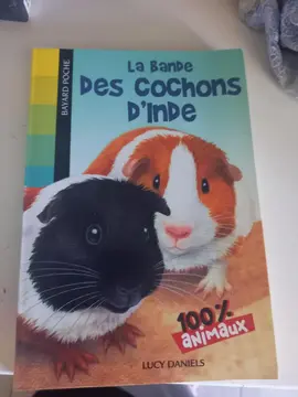 histoire sur les cochons dinde