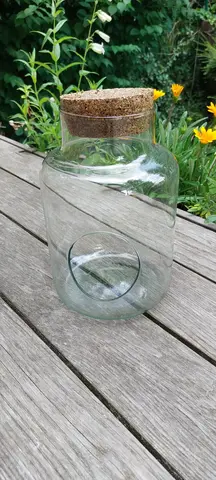 petit terrarium