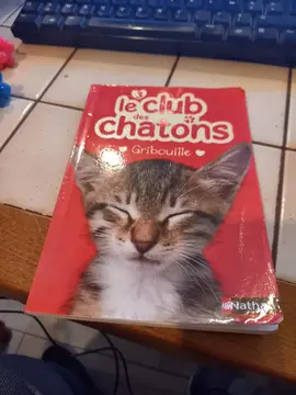 livre histoire de chatons pour enfant