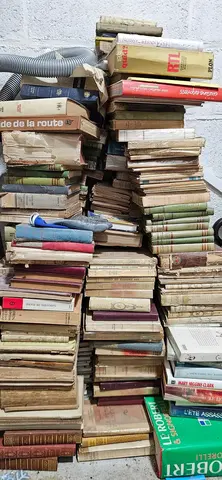 Lot de livres anciens