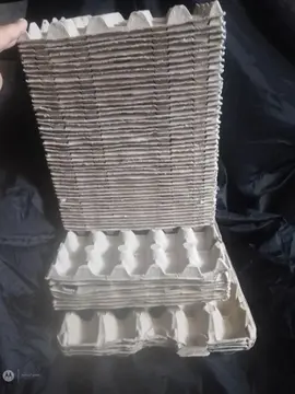 plateaux, boîtes d'oeufs vide et autres cartons