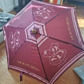 Parapluie Harry Potter