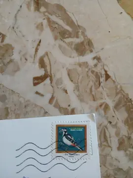 timbre pour collection