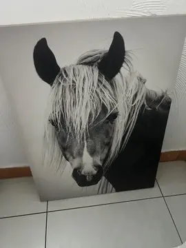 tableau motif cheval