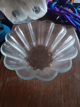 plat