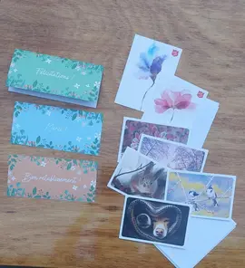 18 cartes et enveloppes (lot 3)