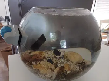 aquarium boule