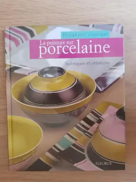 livre de loisirs créatifs : peinture sur porcelaine