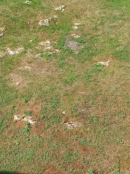 RECHERCHE TERRE POUR POTAGER
