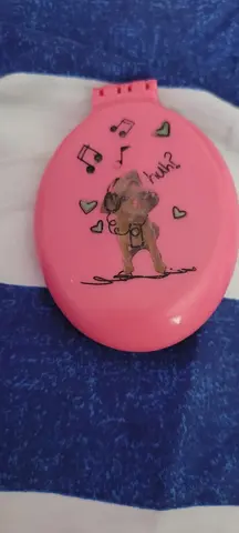 brosse de poche