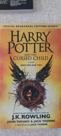 livre harry poter en.anglais