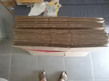 CARTONS DEMENAGEMENT