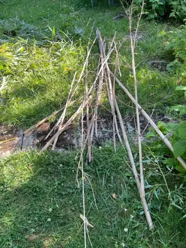 tuteurs pour jardinage