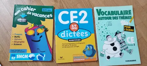 Cahiers exercices CE2 / 8/9 ans