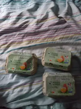 Boîtes à oeufs