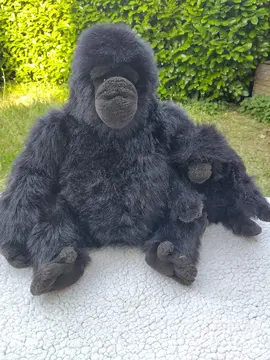 gorilles en peluche