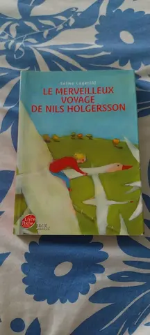 le merveilleux voyage de Nils Holgersson