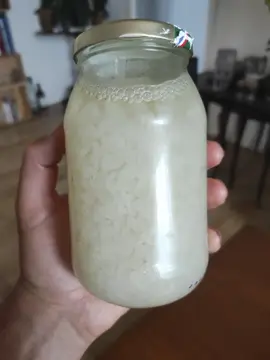 grains de Kefir de fruits
