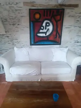canapé lit et fauteuil électrique