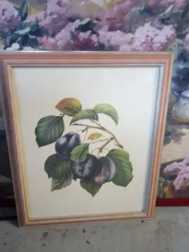 tableaux nature morte