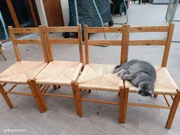 4 chaises à donner (sans le chat :)