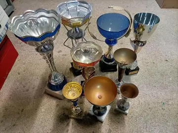 lot de coupes de sport