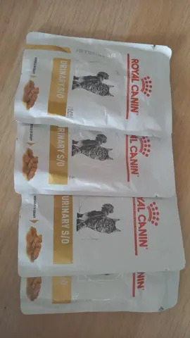 pâte chat souci urinaire