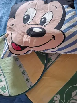 2 galets de chaise et un coussin Mickey.