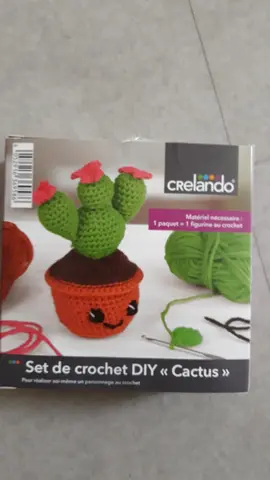 cactus en crochet