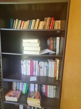 lot de livres (tous styles: romans, histoire, ...)