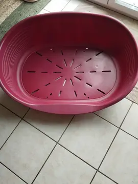 panier pour chien