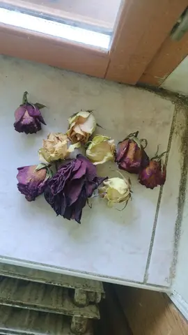 Lot pétales séchées