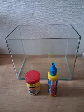 Petit aquarium en verre pour poisson Betta