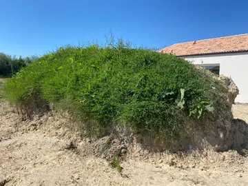 Don terre propre non végétale
