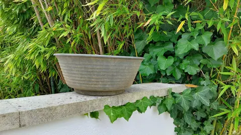vasque plastique pour plante