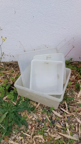 Boîtes type tupperware