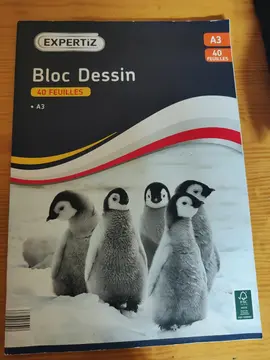 bloc dessin 40 feuilles A3