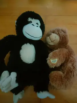 peluche