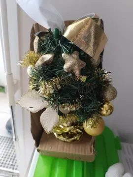 mini sapin de Noël encore dans un emballage saint-Jacques-de-la-Lande