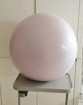 Ballon de fitness 65 cm