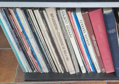 lot disques vinyl (brel, Barbara, Salvador,vartan...)