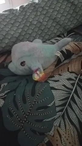 peluche dauphin