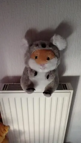 peluche hamster