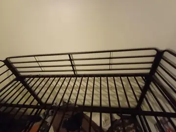 lit