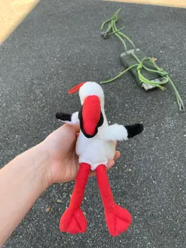 peluches